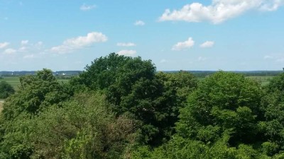 Hell-Sonnig-Ruhig, Parkett, Mü-West 3 Zi +Wohnküche, weiter Blick (Bäume+Berge), mod. Lift