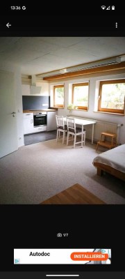 moderne Souterrain-Wohnung in Ortsrandlage an Einzelperson zu vermieten