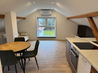 Erstbezug - voll möblierte DG-Wohnung mit Klima & Internet in Bayerdilling