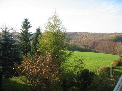Unverbaubarer Blick auf das Naherholungsgebiet Rohleder