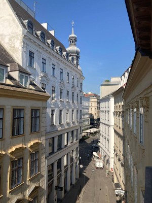 sonnige 130m² Altbauwohnung - Nähe Stephansplatz