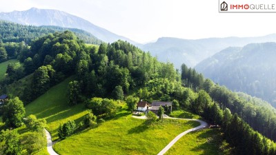 Das Privileg, allein zu sein – und doch verbunden mit allem