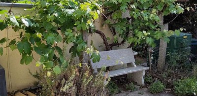 3-Zimmer-Terassenwohnung mit etwas Toscana-Flair