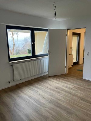 800 € - 54 m² - 2.0 Zi. Neue sanierte Einliegerwohnung in sehr ruhiger Lage.