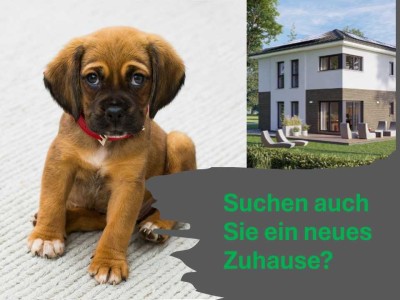 Investieren Sie in Ihre eigenen 4 Wände – Wunderschönes Traumhaus von Danhaus