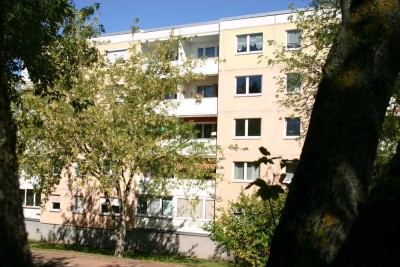 Frisch sanierte 3-Raum-Wohnung in toller Lage