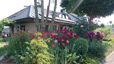 Gepflegte 2-Raum-Wohnung mit Terrasse und Einbauküche in Wertheim