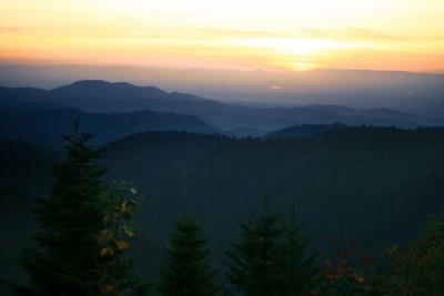 Wohnen im Nationalparkdorf Kniebis