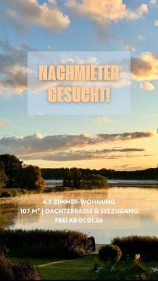 Moderne 4,5- Zimmer-Dachgeschosswohnung mit Terrasse und Seeblick