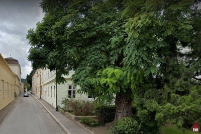 Helle Zweizimmerdachterrassenwohnung in Baden bei Wien zu mieten!