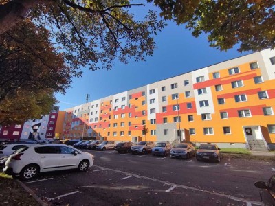 FAMILIENWOHNUNG mit BALKON