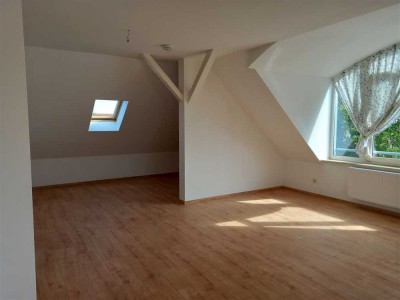 +++ Geräumige Singlewohnung in Seidnitz +++