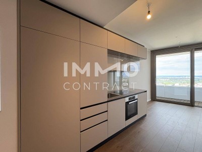 DANUBEFLATS: Sonniges Studio mit Balkon und Rundumblick (Gym, Pool, Spa, Lounges im Turm) - NEW