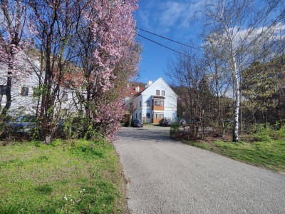 Dachgeschosswohnung in Bisamberg
