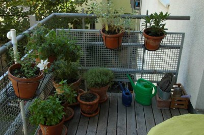 Ruhige 3 Zimmer-Wohnung Am Alten See in Frankfurt - Rödelheim