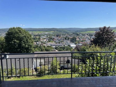 2-Zimmer Panorama-Apartment Erbach Bestlage (Erstbezug nach Sanierung)