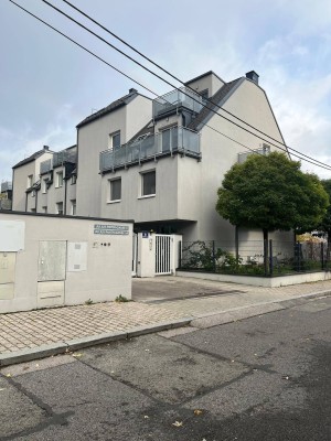 Großzügige ruhige Wohnung mit Garten in unmittelbarer Nähe zum Kaiserwasser / Uno City