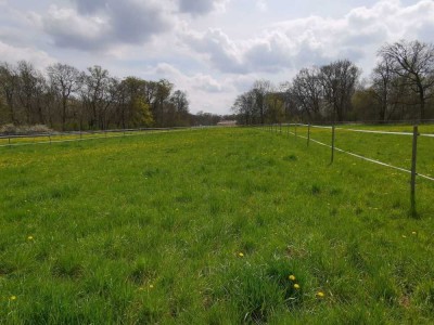 Ein unverbaubaren Blick ins Grüne am Ende einer Sackgasse