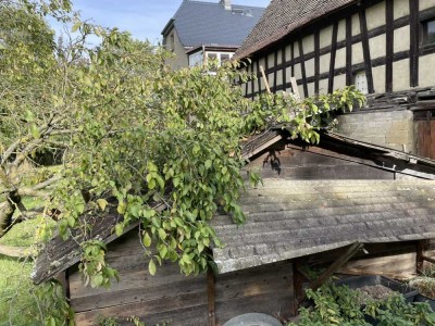 Bauerhof in Sachsen Anhalt sucht guten uns sovlenten Mieter