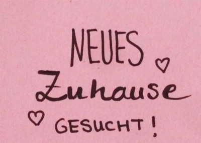 Suche Mietwohnung für solvente Kunde in Lebach und Umgebung