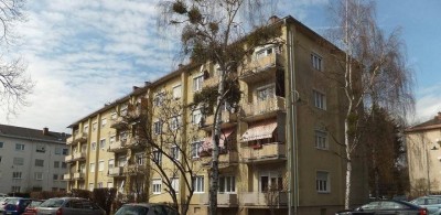 PROVISIONSFREI - Leibnitz - Miete - 2 Zimmer
