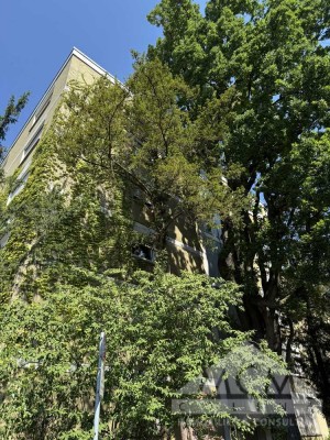 Rarität direkt am Bethmannpark mit eigenem Stellplatz