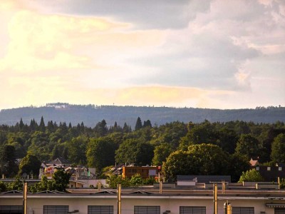 Gepflegtes und helles Haus, Umgebung Frankfurt School