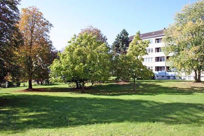 schöne helle 3-ZKB im grünen Baunatal