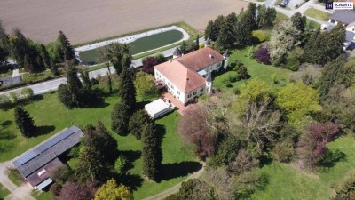 Ein Märchenschloss Nähe Wildon-komplett saniert mit prachtvoller 40.000m² Parkanlage - Biomasseheizung!