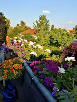 Helle 3-Zimmer-Wohnung mit Süd-Balkon in Elze