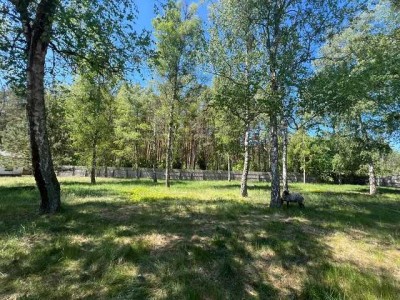 Leben und Arbeiten zwischen Wald und See in der Schorfheide