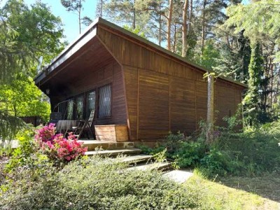 Waldidylle trifft Gartenglück Freizeitparadies am Waldrand in Schweinitz