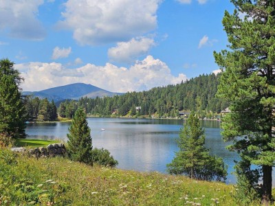 The Austrian Alps - your home away frome home!