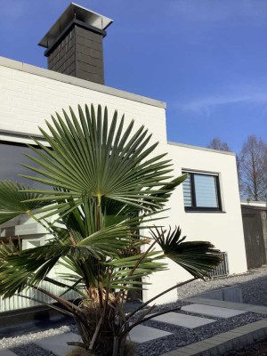 Exklusives Haus im Bauhausstil in Bad Lippspringe mit eigener Sauna