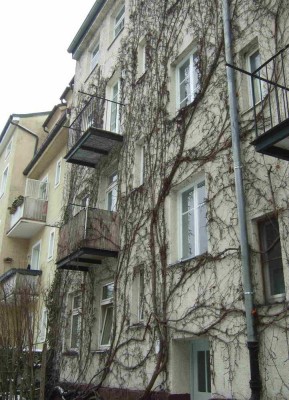 Zentrale, ruhige 2-Zimmer-Altbau-Wohnung mit Balkon