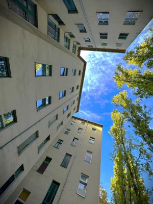 Groß und saniert - Wohnungsschnitt für Kreative!