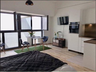 1 Zimmer Wohnung mit Loftflair