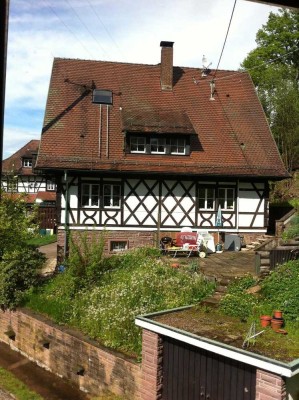 schön möblierte 1 ZKB DG Wohnung am Weiher/Waldlage