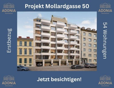 ++MOLLARD 50++ hochwertige 3-Zimmer-Wohnung mitten im Herzen der Stadt (3/3)