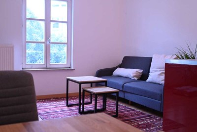 1,5 Zimmer Apartment, neu möbliert, Gießen Innenstadt