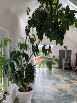 Exklusive 4-Raum-DG-Wohnung mit gehobener Innenausstattung mit Balkon und EBK in Wüstenrot- Busch