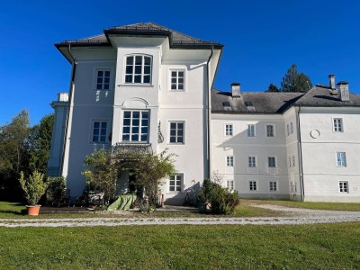 Große Wohnung im Schloss Weitwörth