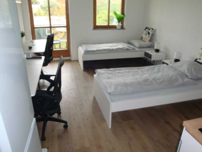 Neu renovierte möblierte 1-Zi.-Wohnung, Balkon, Einbauküche, Laminat, Wfl.ca. 24 m²