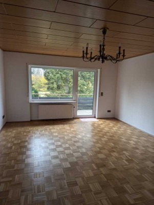 Renovierte 2 Zimmer Wohnung mit Balkon in Speyer