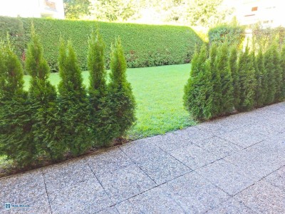 Erstbezug nach Renovierung - 3-ZI-Terrassen-Wohnung in angenehmer Stadtlage