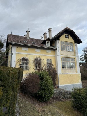 Lage Lage Lage! Einzigartige Villa in idyllischer Lage - Perfektes Renovierungsprojekt in Hinterbrühl!