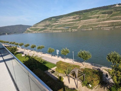 Penthouse direkt am Rhein