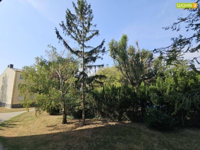 Hier will ich sein in Wiener Neudorf, gartenseitige Wohnung! + Loggia!