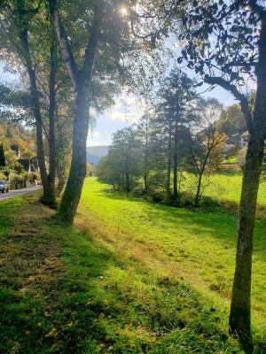 Gemütliche,  naturnahe Wohnung direkt am Bach