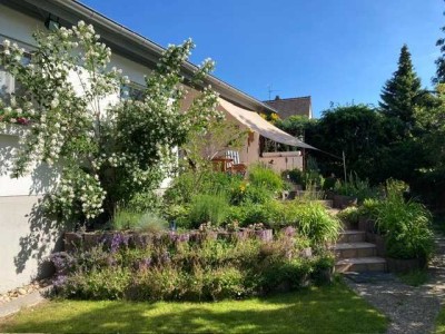 Fast zum Grundstückspreis, Bungalow in Trautheim